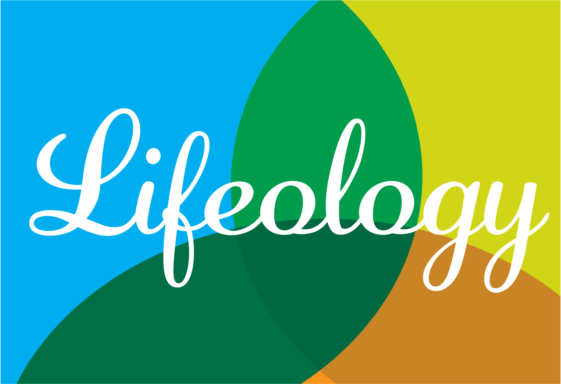 Life House -Lifeology Az Emergency Shelter for Youth