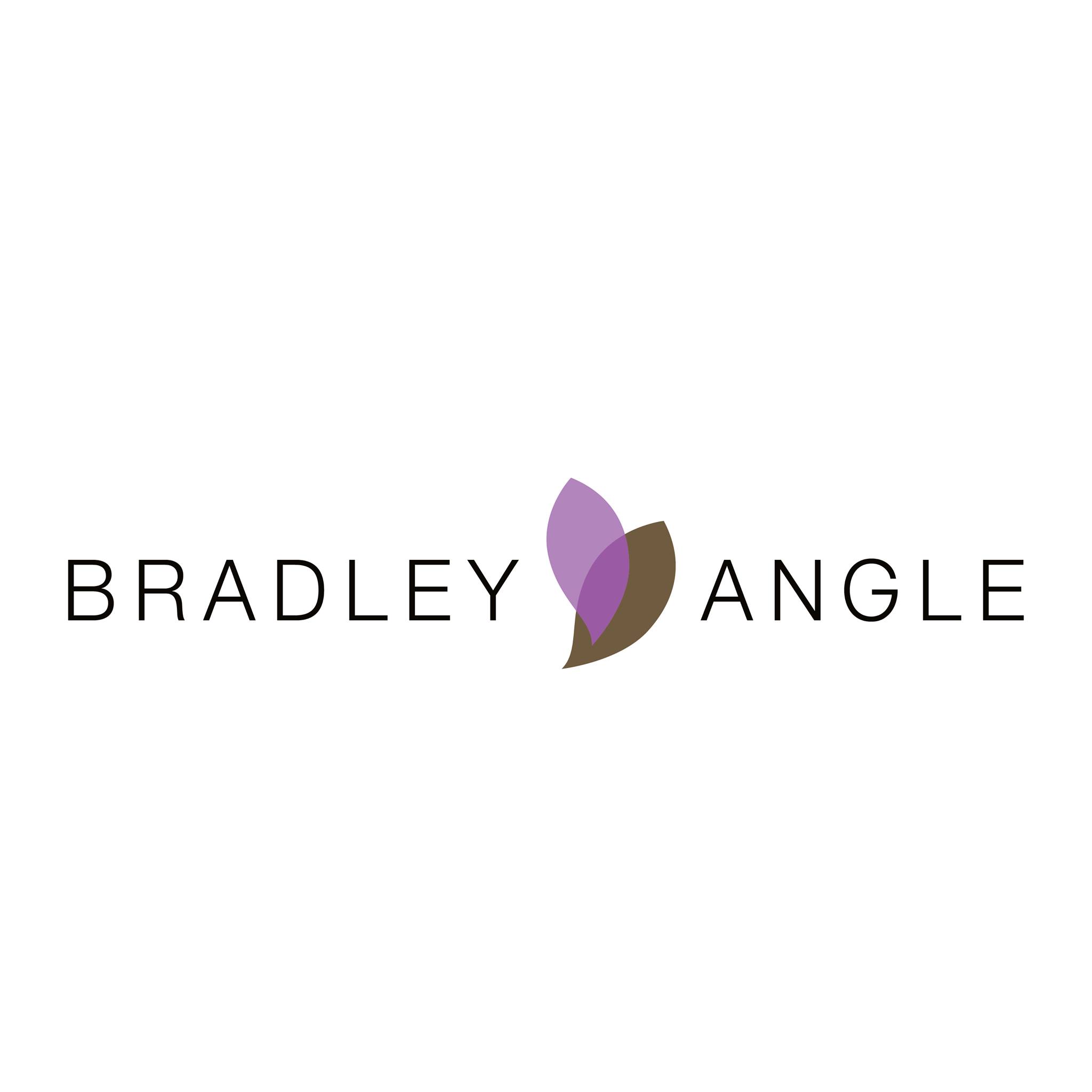 Bradley Angle House