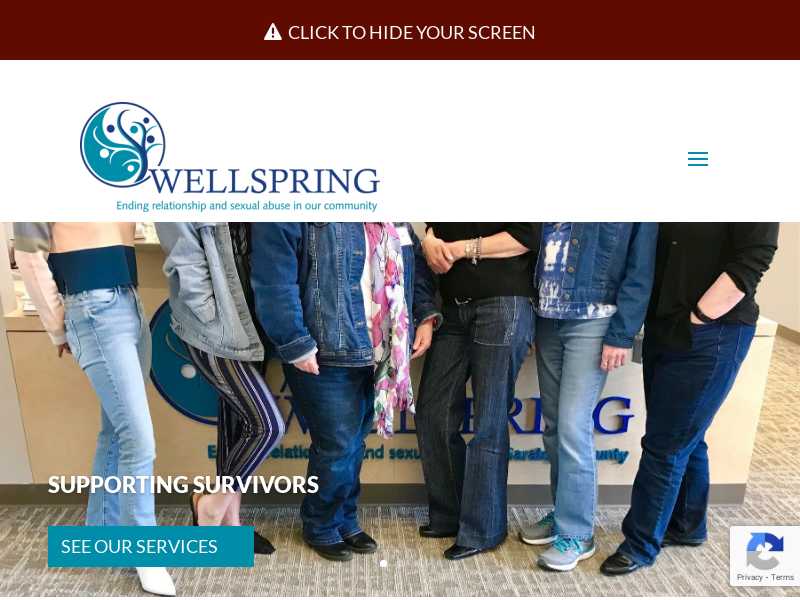 Wellspring - Domestic Violence Services / Saratoga Rape Crisis program