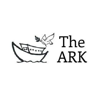 The Ark Elkin IG