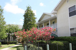 Homeless Emergency Project, Inc. (HEP)